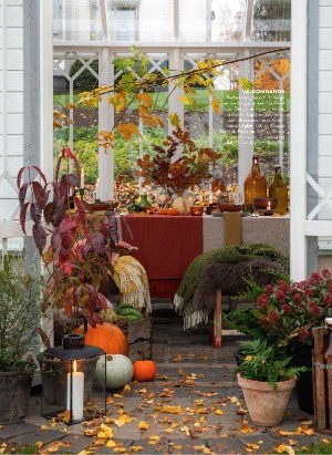 levaochbo-20211001_000_00_00_022.pdf