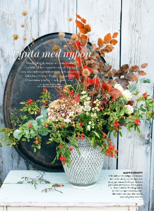 levaochbo-20211001_000_00_00_046.pdf