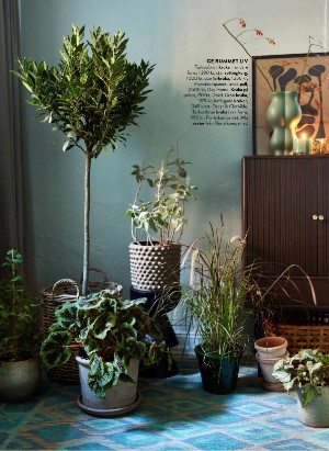 levaochbo-20211015_000_00_00_024.pdf