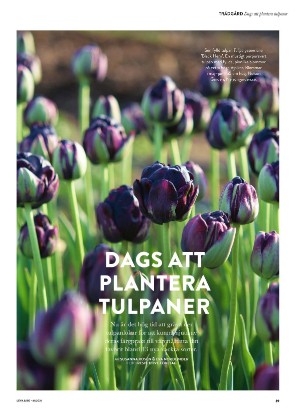 levaochbo-20211015_000_00_00_039.pdf