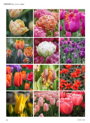 levaochbo-20211015_000_00_00_040.pdf