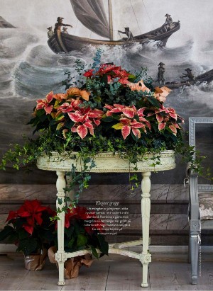 levaochbo-20211119_000_00_00_058.pdf