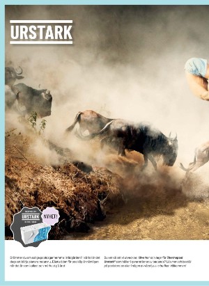 levaochbo-20211217_000_00_00_004.pdf