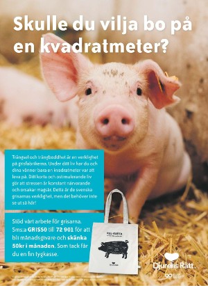 levaochbo-20220107_000_00_00_065.pdf