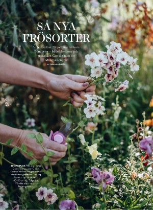 levaochbo-20220218_000_00_00_062.pdf