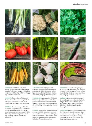 levaochbo-20220218_000_00_00_065.pdf