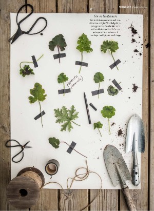 levaochbo-20220311_000_00_00_039.pdf