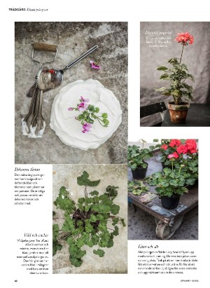 levaochbo-20220311_000_00_00_042.pdf