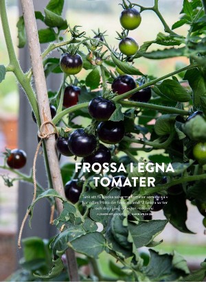 levaochbo-20220311_000_00_00_062.pdf