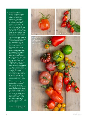 levaochbo-20220311_000_00_00_064.pdf