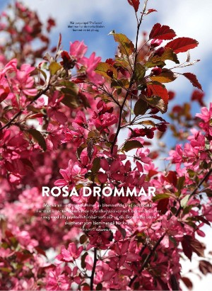 levaochbo-20220318_000_00_00_056.pdf