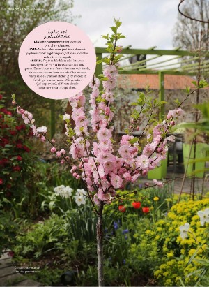 levaochbo-20220318_000_00_00_058.pdf