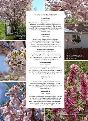 levaochbo-20220318_000_00_00_059.pdf