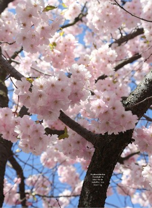 levaochbo-20220318_000_00_00_060.pdf