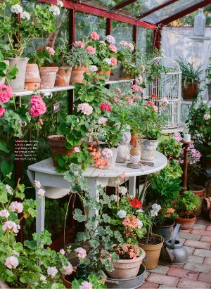 levaochbo-20220325_000_00_00_040.pdf