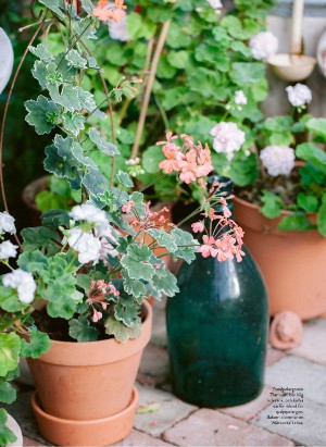 levaochbo-20220325_000_00_00_043.pdf