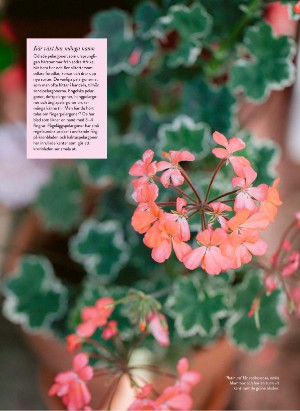 levaochbo-20220325_000_00_00_047.pdf