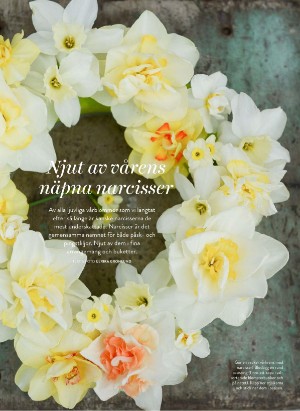 levaochbo-20220415_000_00_00_060.pdf