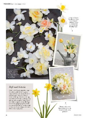 levaochbo-20220415_000_00_00_062.pdf