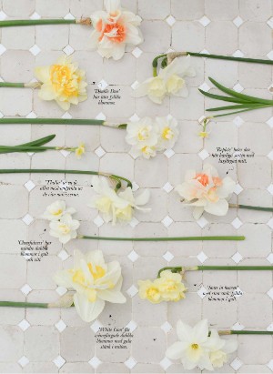 levaochbo-20220415_000_00_00_063.pdf