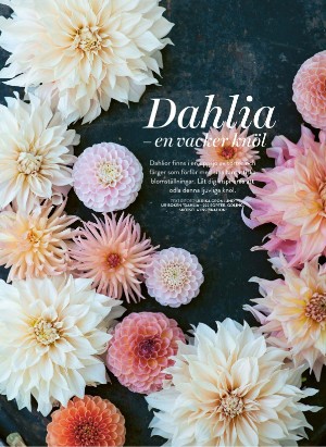 levaochbo-20220422_000_00_00_034.pdf