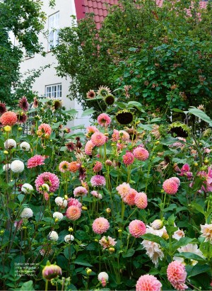 levaochbo-20220422_000_00_00_036.pdf