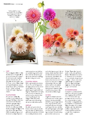 levaochbo-20220422_000_00_00_038.pdf