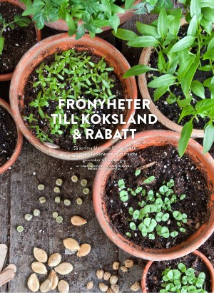 levaochbo-20220422_000_00_00_052.pdf