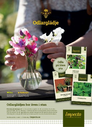 levaochbo-20220429_000_00_00_017.pdf