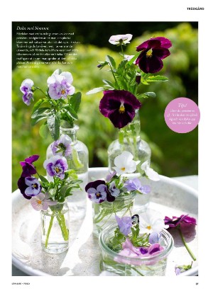 levaochbo-20220429_000_00_00_037.pdf