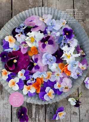 levaochbo-20220429_000_00_00_038.pdf