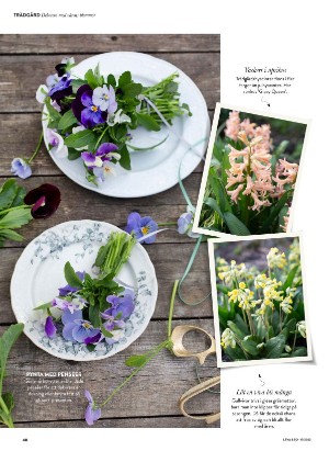 levaochbo-20220429_000_00_00_040.pdf