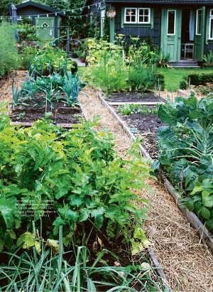 levaochbo-20220429_000_00_00_054.pdf