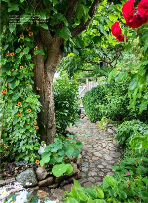 levaochbo-20220513_000_00_00_053.pdf