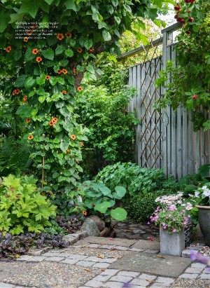 levaochbo-20220513_000_00_00_054.pdf