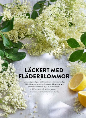 levaochbo-20230526_000_00_00_072.pdf