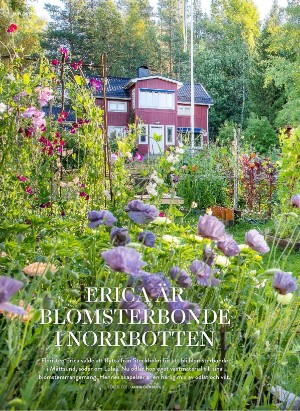 levaochbo-20230602_000_00_00_058.pdf