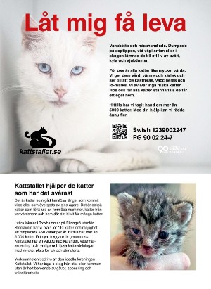 levaochbo-20250523_000_00_00_083.pdf