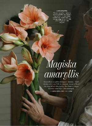 levaochbo-20251107_000_00_00_048.pdf