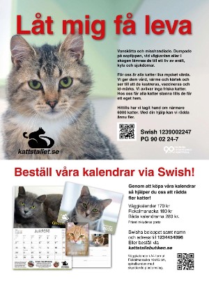 levaochbo-20251107_000_00_00_081.pdf