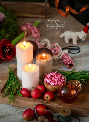 levaochbo-20251114_000_00_00_038.pdf