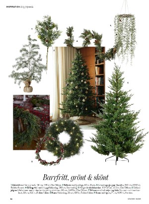 levaochbo-20251114_000_00_00_054.pdf