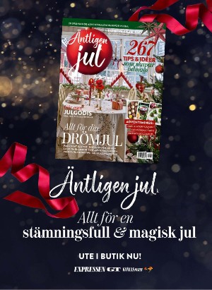 levaochbo-20251114_000_00_00_067.pdf