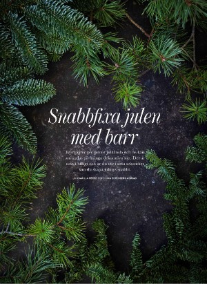 levaochbo-20251128_000_00_00_034.pdf