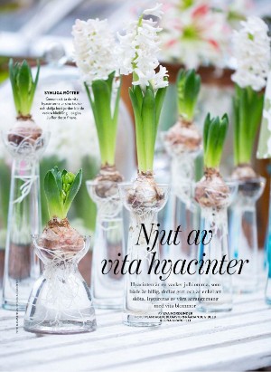 levaochbo-20251128_000_00_00_040.pdf