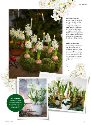 levaochbo-20251128_000_00_00_041.pdf