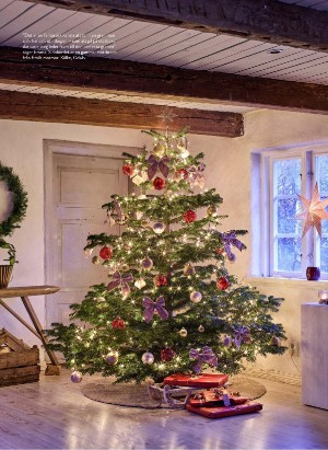 levaochbo-20251212_000_00_00_027.pdf