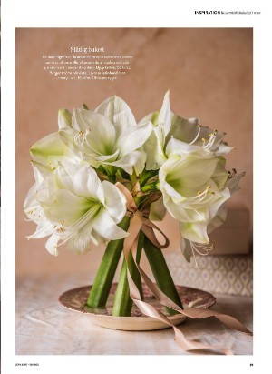 levaochbo-20251212_000_00_00_039.pdf