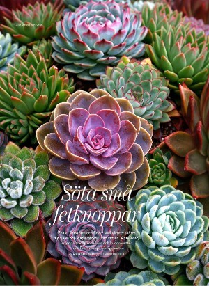 levaochbo-20260102_000_00_00_054.pdf