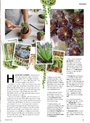 levaochbo-20260102_000_00_00_055.pdf